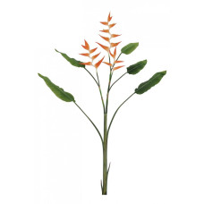 ELICONIA JESSYE X3F+5ОРАНЖЕВЫЕ ЛИСТЬЯ H172 ELICONIA JESSYE X3F+5ОРАНЖЕВЫЕ ЛИСТЬЯ H172