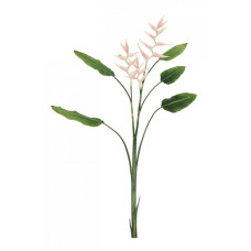 ЭЛИКОНИЯ ДЖЕССИ X3F+5РОЗОВЫЕ ЛИСТЬЯ H172 ЭЛИКОНИЯ ДЖЕССИ X3F+5РОЗОВЫЕ ЛИСТЬЯ H172