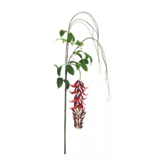 МАКУНА КЕЙЛИН КРАСНЫЙ H210CM МАКУНА КЕЙЛИН КРАСНЫЙ H210CM