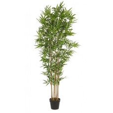 БАМБУКОВАЯ ВАЗА ДЛЯ РАСТЕНИЙ H185CM БАМБУКОВАЯ ВАЗА ДЛЯ РАСТЕНИЙ H185CM