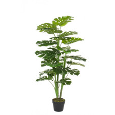 ФИЛОДЕНДРОН РАСТЕНИЕ C-ВАЗА 23 ЛИСТА H120CM ФИЛОДЕНДРОН РАСТЕНИЕ C-ВАЗА 23 ЛИСТА H120CM