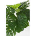 ФИЛОДЕНДРОН РАСТЕНИЕ C-ВАЗА 24 ЛИСТА H65CM