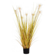 ЗАВОД СОЛОМЫ В ПУСТЫНЕ C-POT X7F H120 ЗАВОД СОЛОМЫ В ПУСТЫНЕ C-POT X7F H120