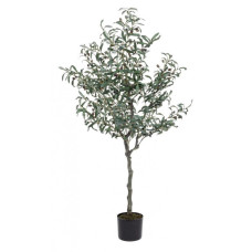 ОЛИВКОВОЕ РАСТЕНИЕ C-POT 984LEAVES H150 ОЛИВКОВОЕ РАСТЕНИЕ C-POT 984LEAVES H150