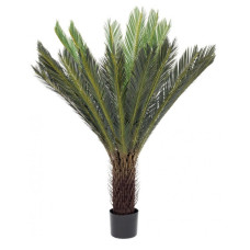 ЦИКАС ПАЛЬМА C-ВАЗА 28 ЛИСТЬЕВ H120 ЦИКАС ПАЛЬМА C-ВАЗА 28 ЛИСТЬЕВ H120