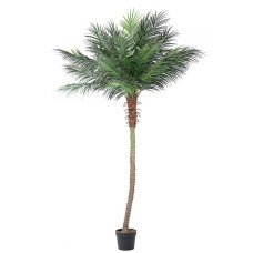 ПАЛЬМОВОЕ РАСТЕНИЕ C-POT 21 ЛИСТ H300 ПАЛЬМОВОЕ РАСТЕНИЕ C-POT 21 ЛИСТ H300