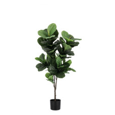 РАСТЕНИЕ ФИКУС ЛИРАТА C-ВАЗА 72 ЛИСТА H120 РАСТЕНИЕ ФИКУС ЛИРАТА C-ВАЗА 72 ЛИСТА H120