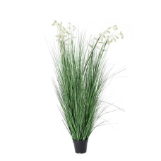 БЕЛАЯ ГРЕВИЛЛЕЯ C-POT X9F H150 БЕЛАЯ ГРЕВИЛЛЕЯ C-POT X9F H150