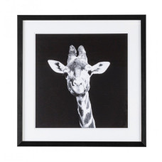 ПАНЕЛЬ C-C ДОКАЗАТЕЛЬСТВА 107 49X49 ПАНЕЛЬ C-C ДОКАЗАТЕЛЬСТВА 107 49X49