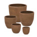 SET5 POT POT RIGO TO Rusty Low